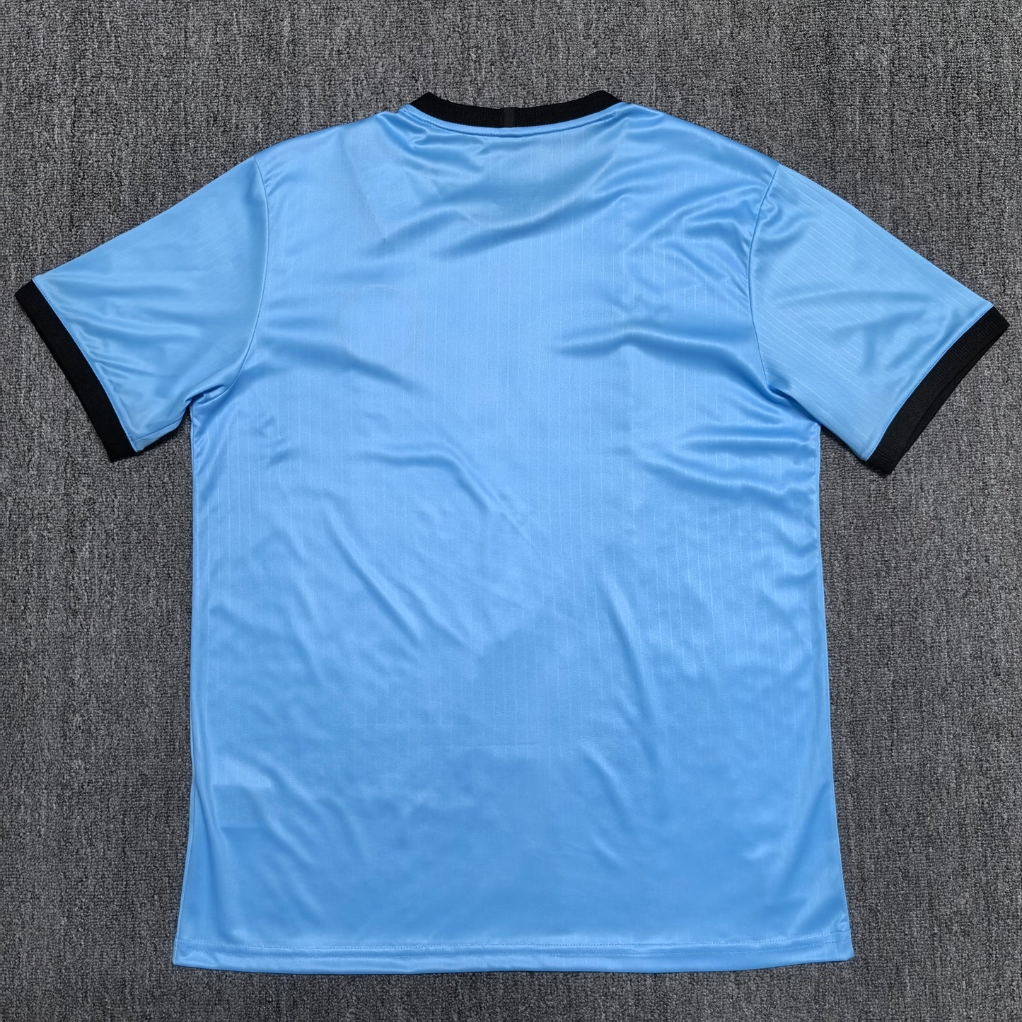 Germany 2025-26 Special Edition Shirt
