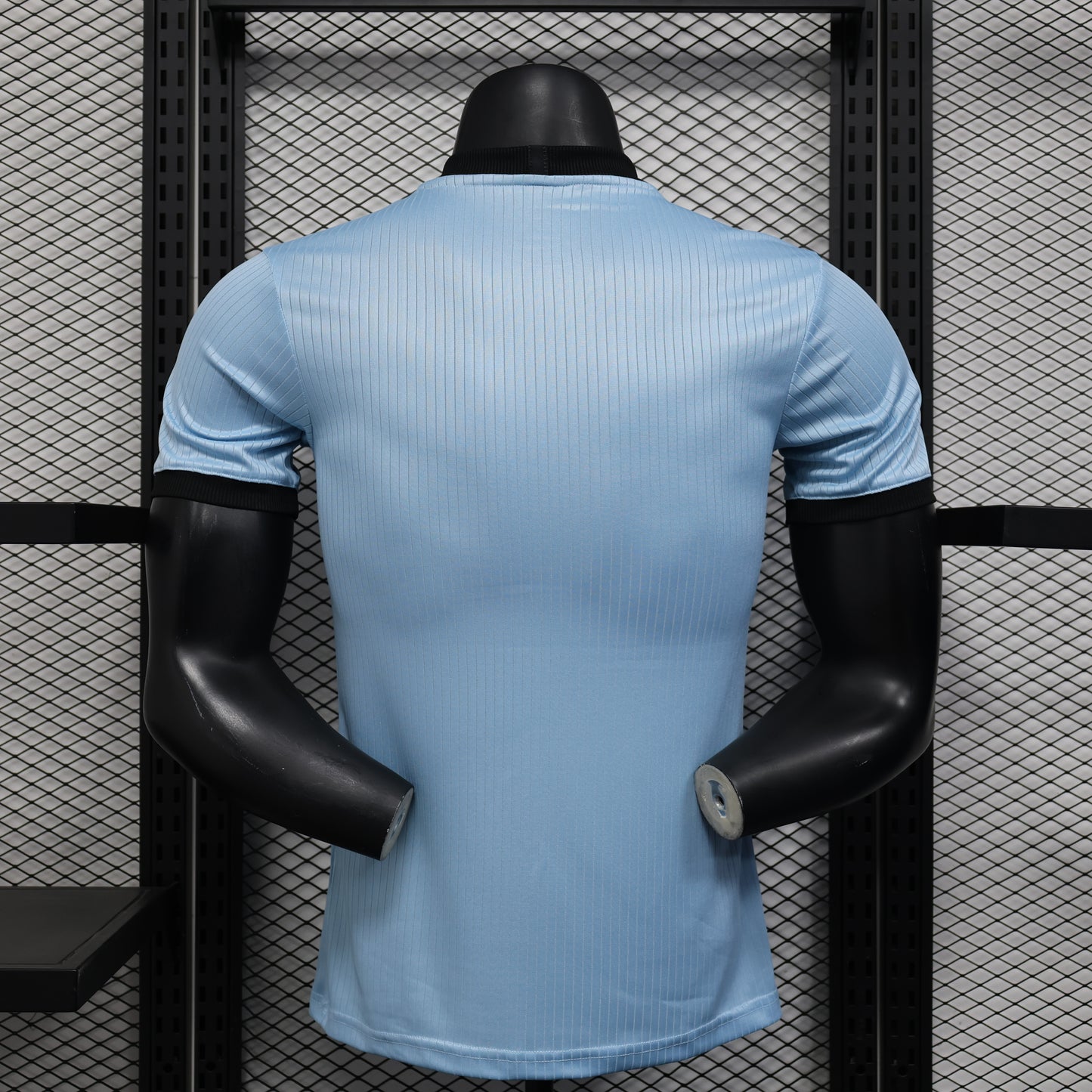 Germany 2025-26 Special Edition Shirt