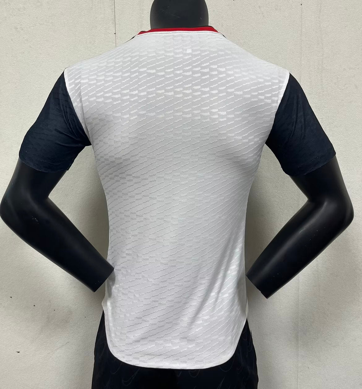 Japan 2023 Special Edition Shirt